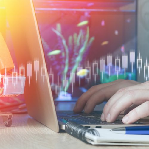 Đầu tư quốc tế và xúc tiến thương mại